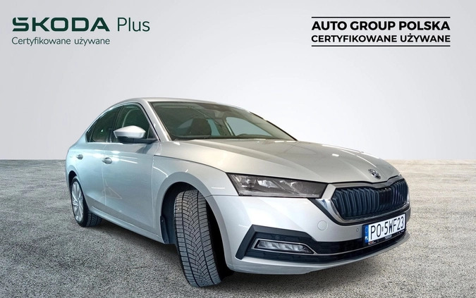 Skoda Octavia cena 89500 przebieg: 136914, rok produkcji 2021 z Skierniewice małe 352